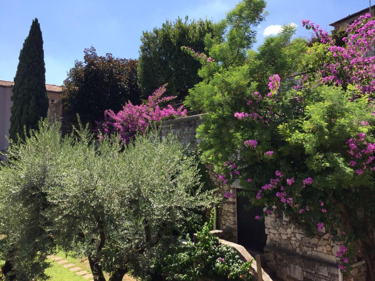 Le Finestre Sugli Ulivi Appartement *